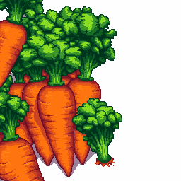 Fresh Carrots